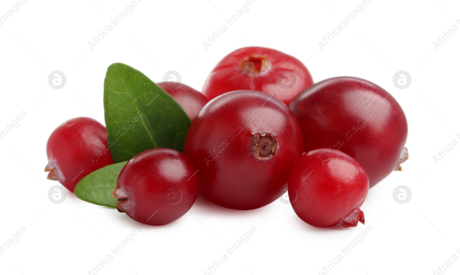 Photo of Fresh ripe cranberries with leaves isolated on white