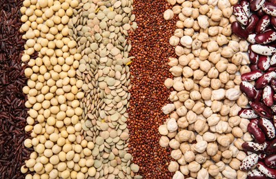 Photo of Various raw veggie seeds as background, top view