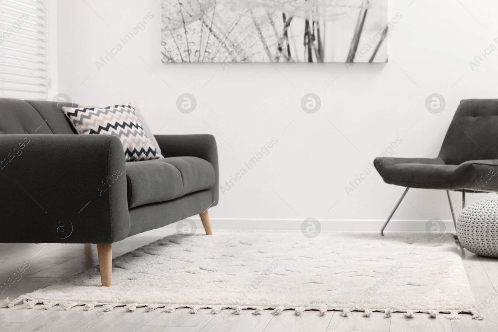 Photo of Living room with soft carpet and stylish furniture. Modern design