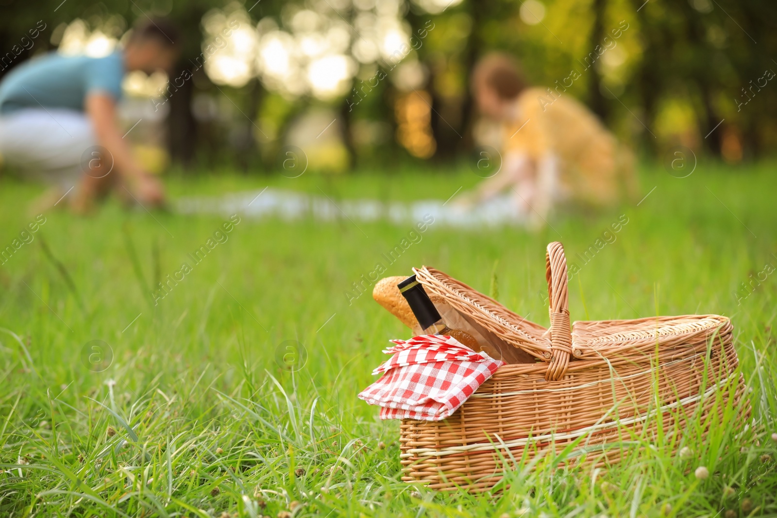 Photo of Wicker picnic basket with bottle of wine and bread on green grass