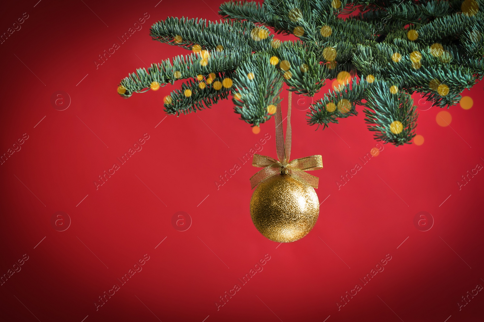 Photo of Beautiful Christmas ball hanging on fir tree branch against red background, bokeh effect. Space for text