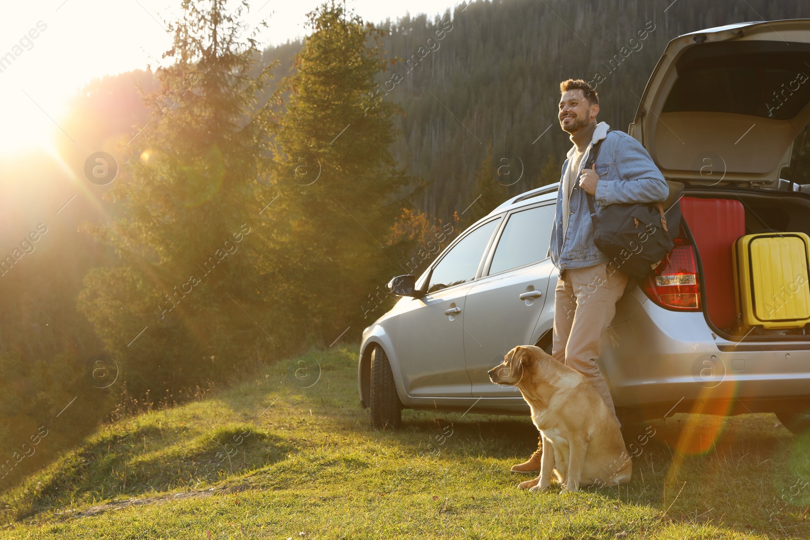 Photo of Happy man and adorable dog near car in mountains. Traveling with pet