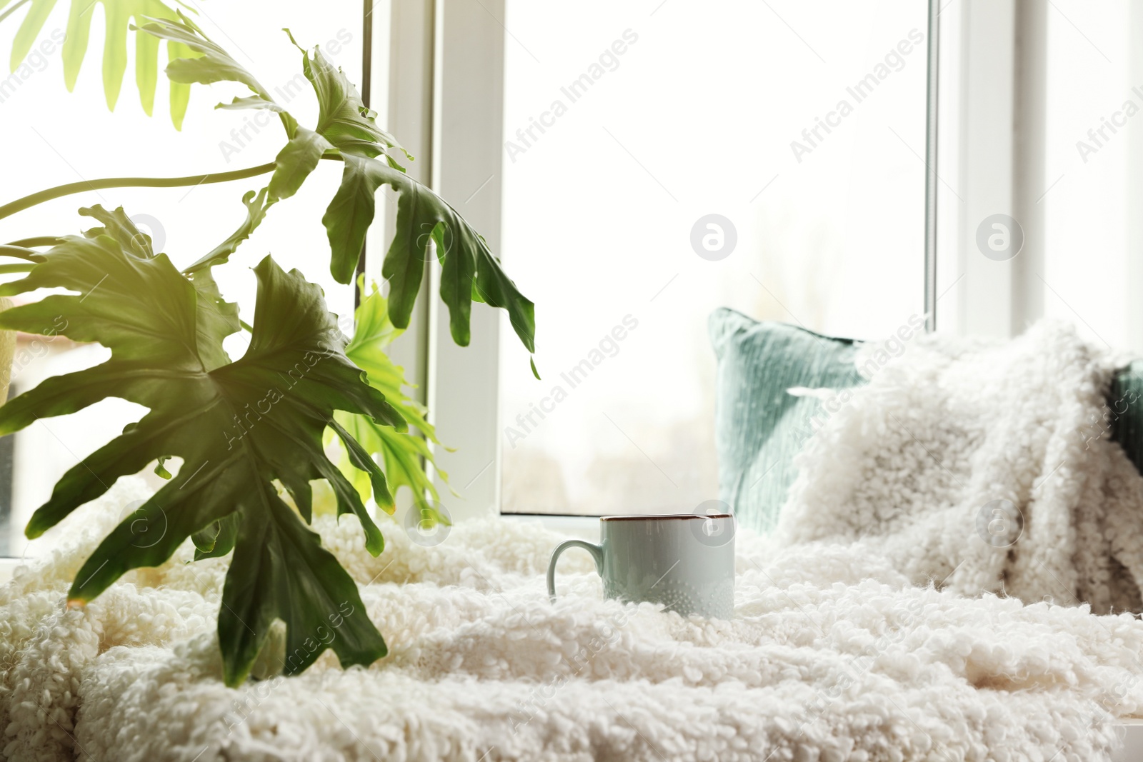 Photo of Cozy window sill with monstera and cup indoors. Plants for home