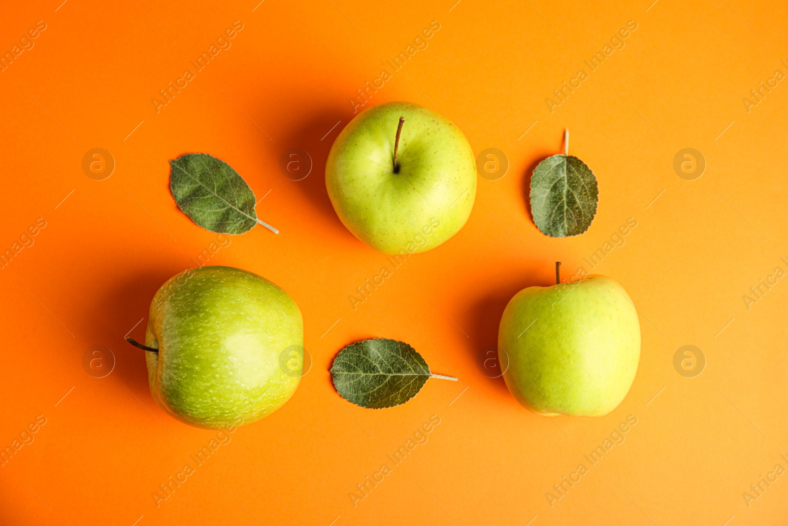 Photo of Flat lay composition of fresh ripe green apples on orange background