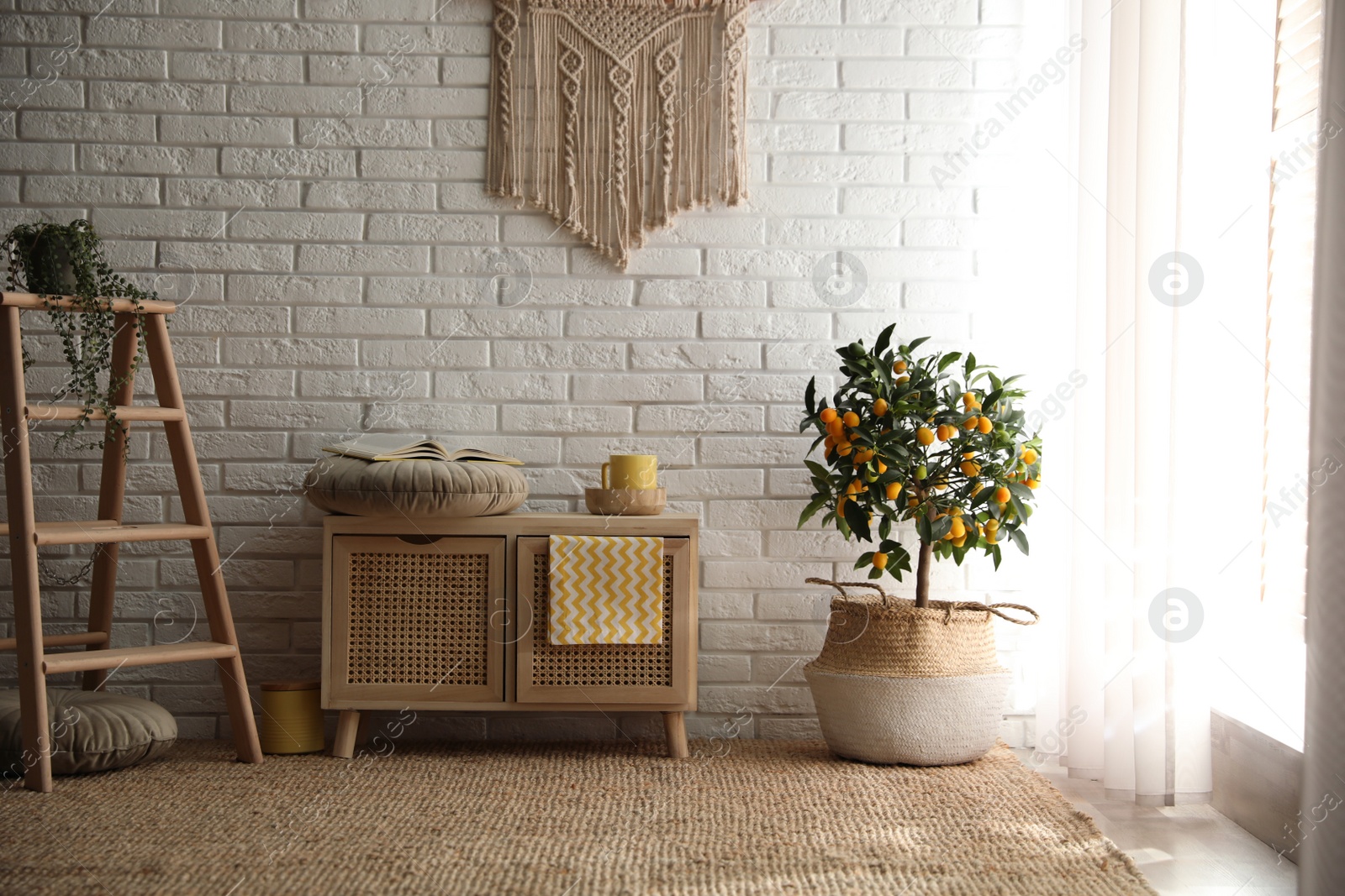 Photo of Stylish room interior with wooden cabinet and potted kumquat tree near white brick wall
