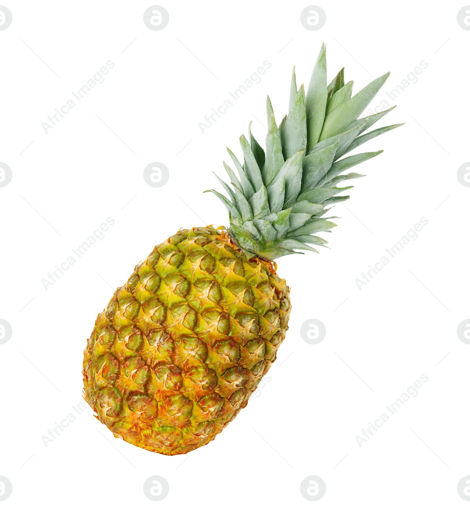 Photo of One whole ripe pineapple isolated on white