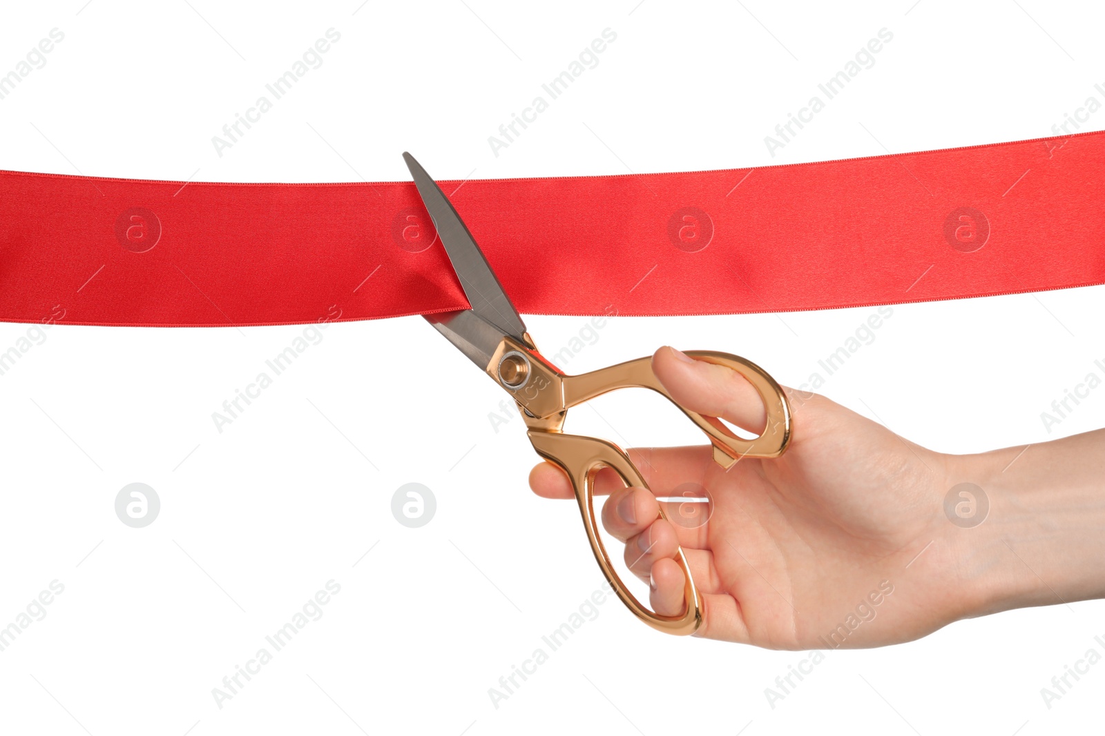 Photo of Man cutting red ribbon on white background, closeup