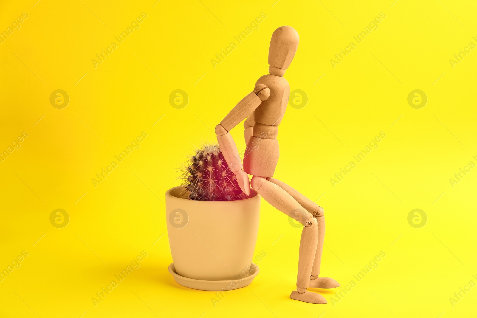 Image of Hemorrhoid concept. Wooden human figure and cactus on yellow background