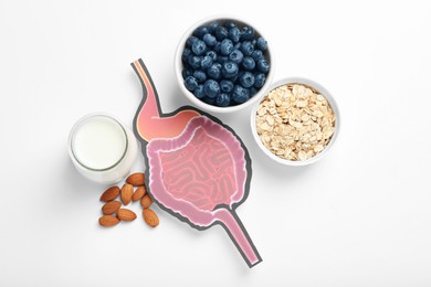 Photo of Gastrointestinal tract model and products to help digestion on white background, top view