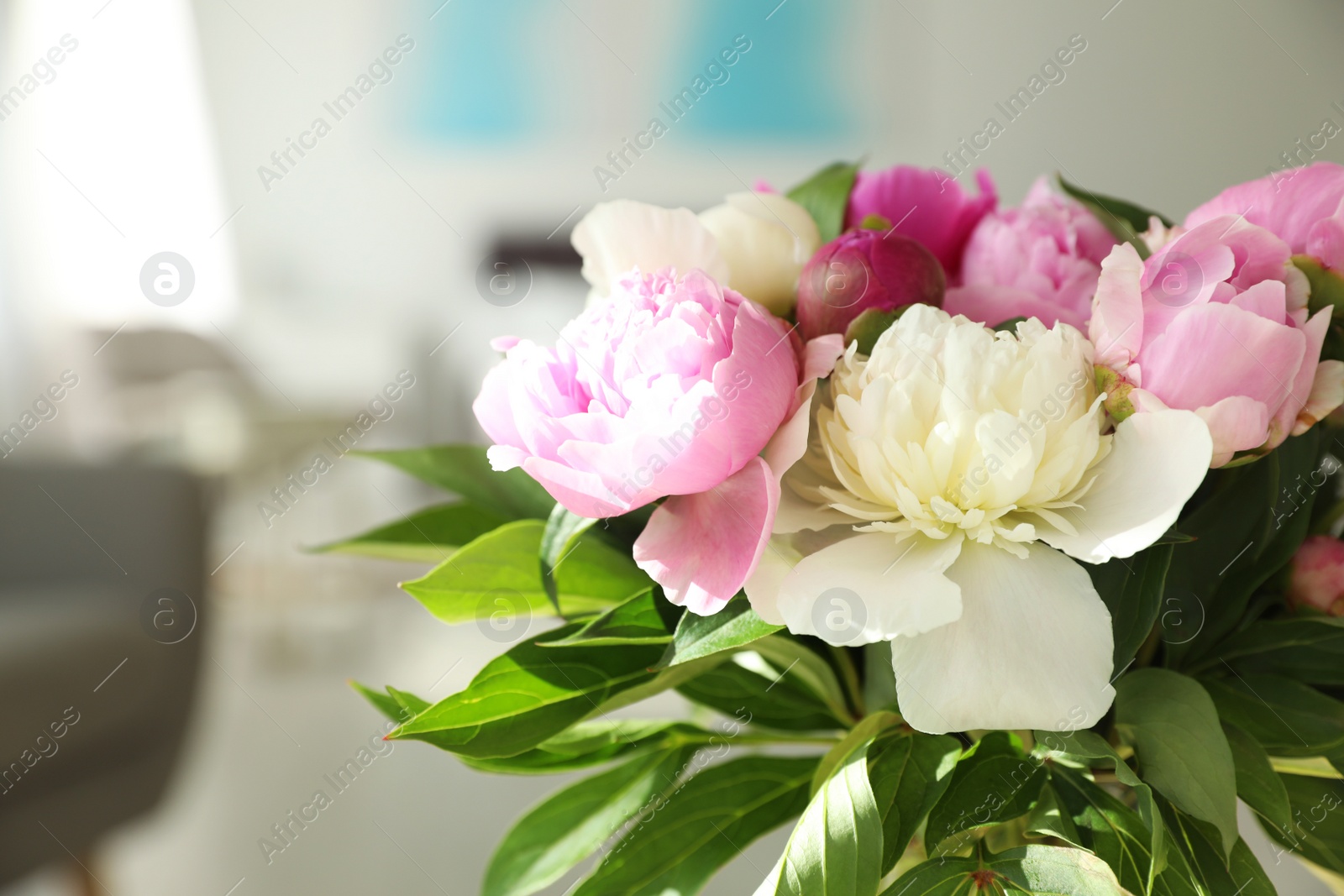 Photo of Bouquet of beautiful peonies in room, closeup. Space for text