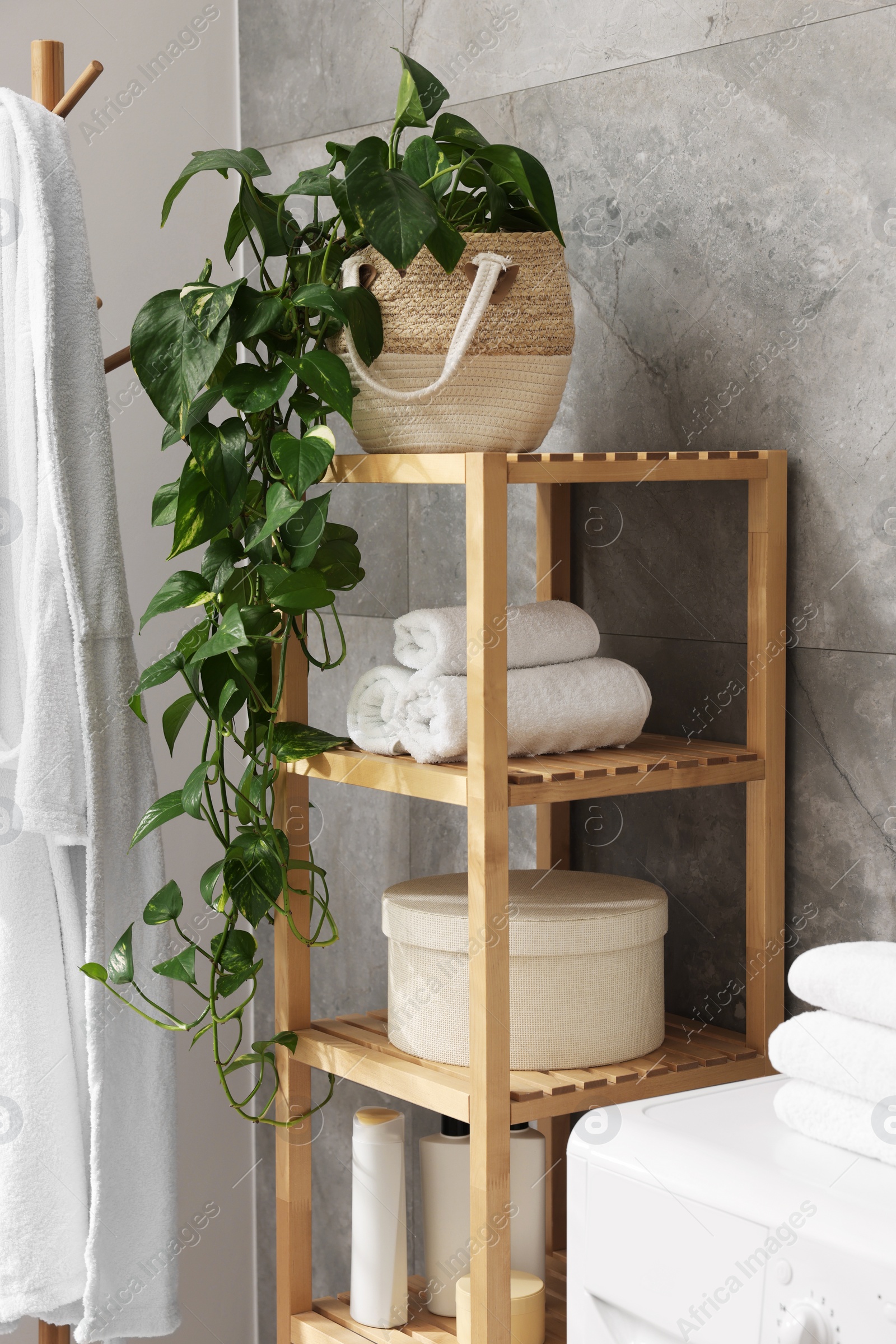 Photo of Shelving unit with rolled towels, houseplant, box and bottles indoors