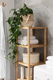 Photo of Shelving unit with rolled towels, houseplant, box and bottles indoors