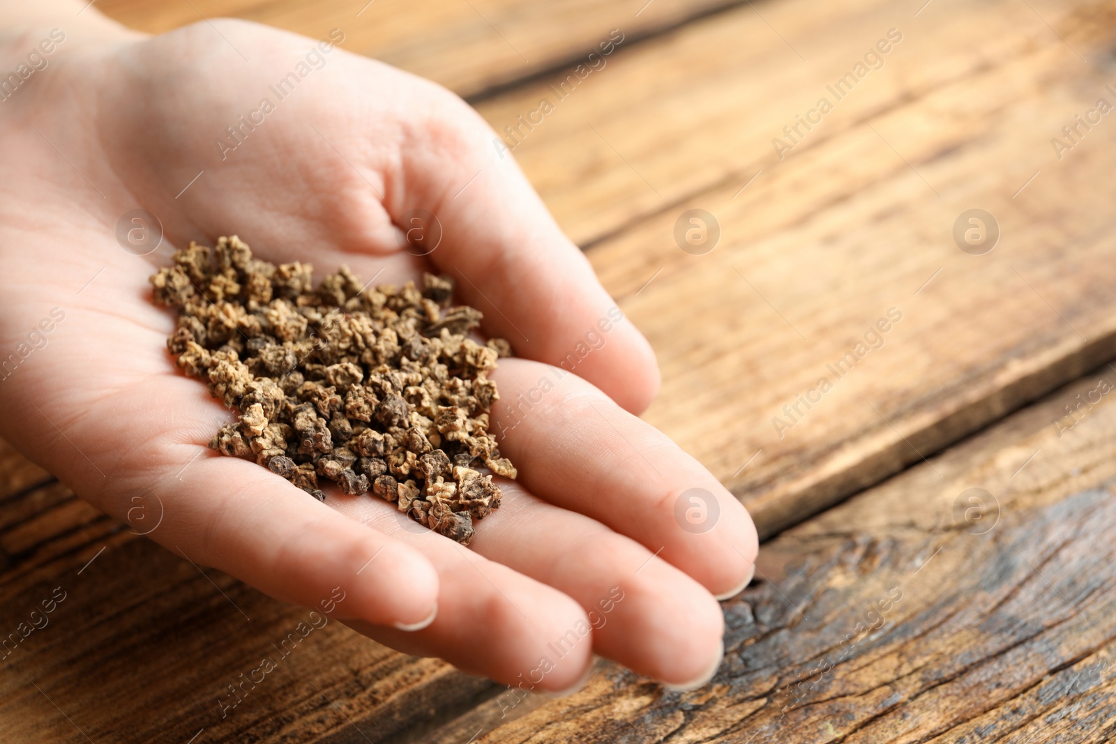 Photo of Woman holding pile of beet seeds over wooden table, closeup. Vegetable planting