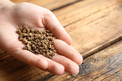 Woman holding pile of beet seeds over wooden table, closeup. Vegetable planting