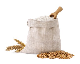 Photo of Bag with organic flour, spikelets and grains of wheat on white background