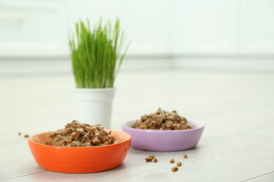 Photo of Wet and dry pet food on floor indoors, space for text