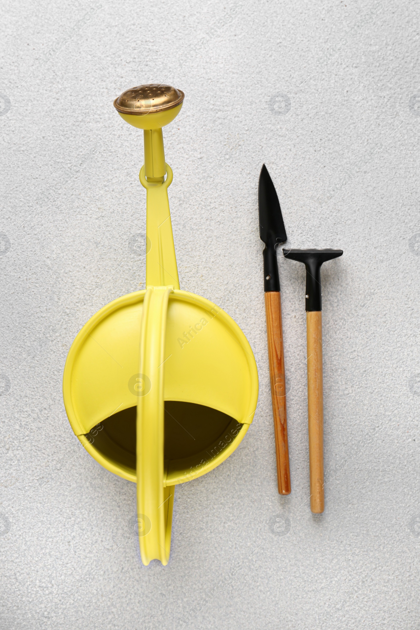Photo of Watering can and gardening tools on light grey background, flat lay