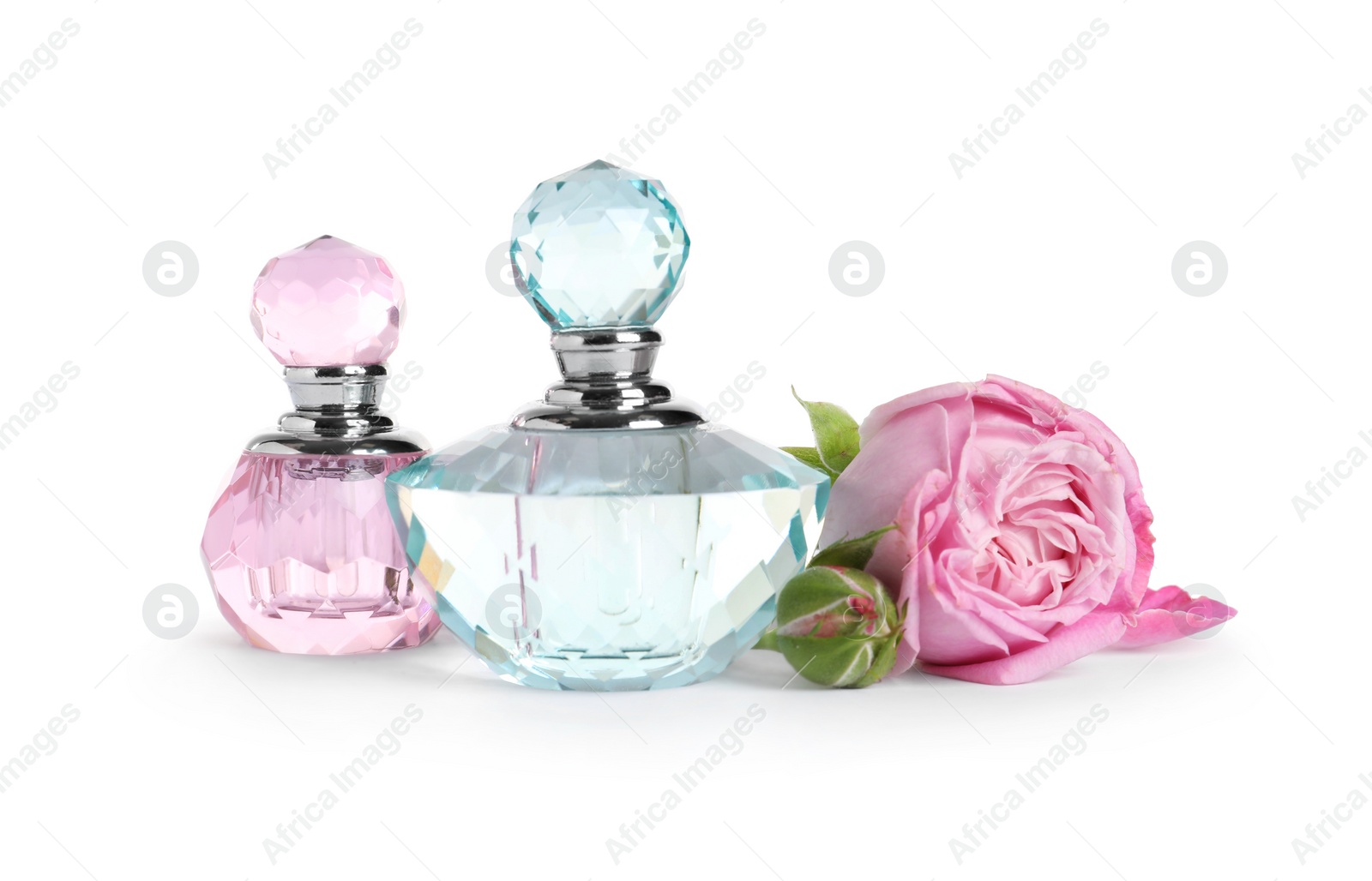 Photo of Bottles of luxury perfume and beautiful flower isolated on white