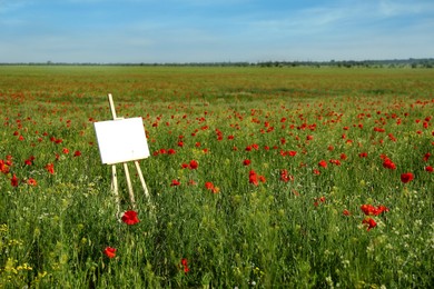 Photo of Wooden easel with blank canvas in poppy field on sunny day