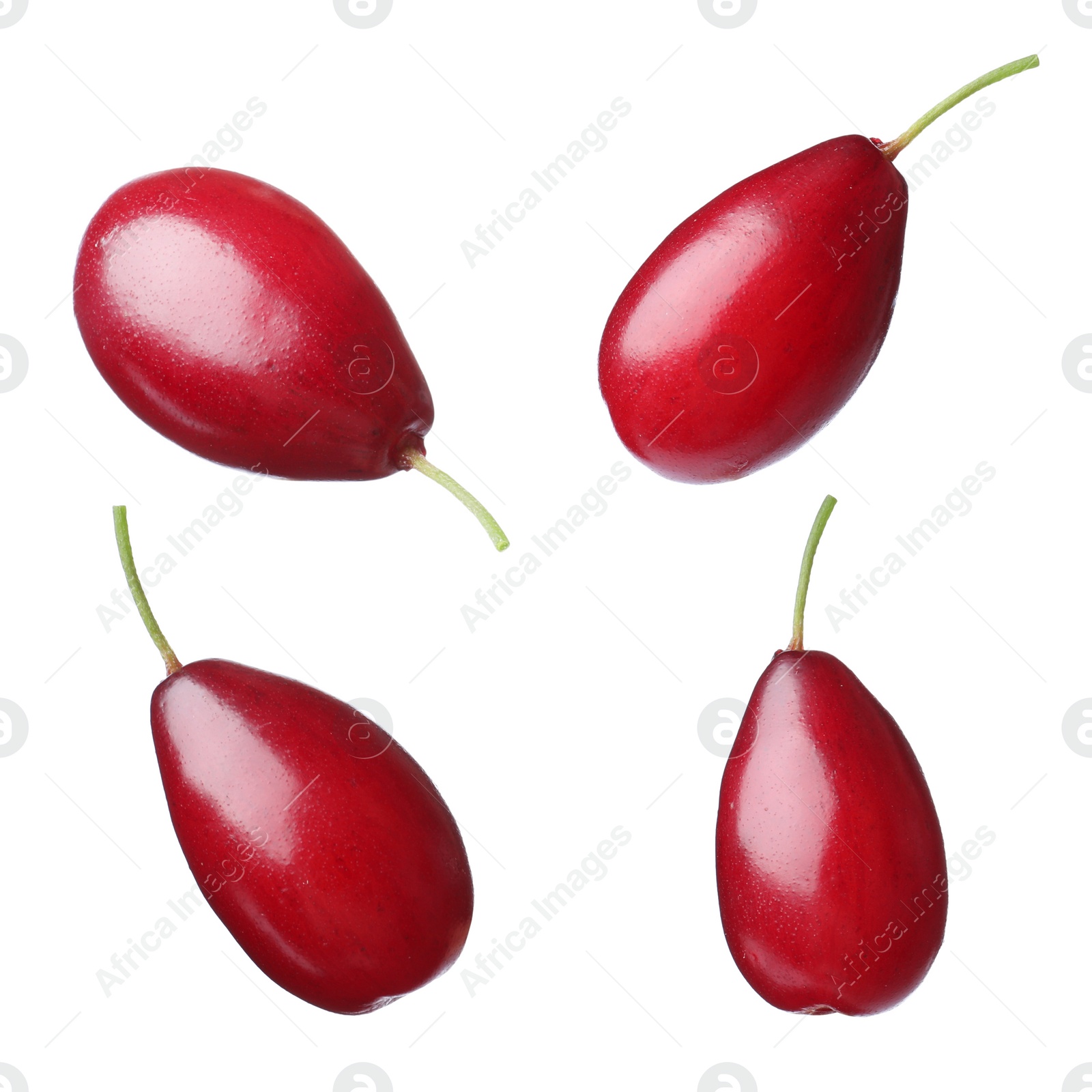 Image of Set of ripe red dogwood berries on white background