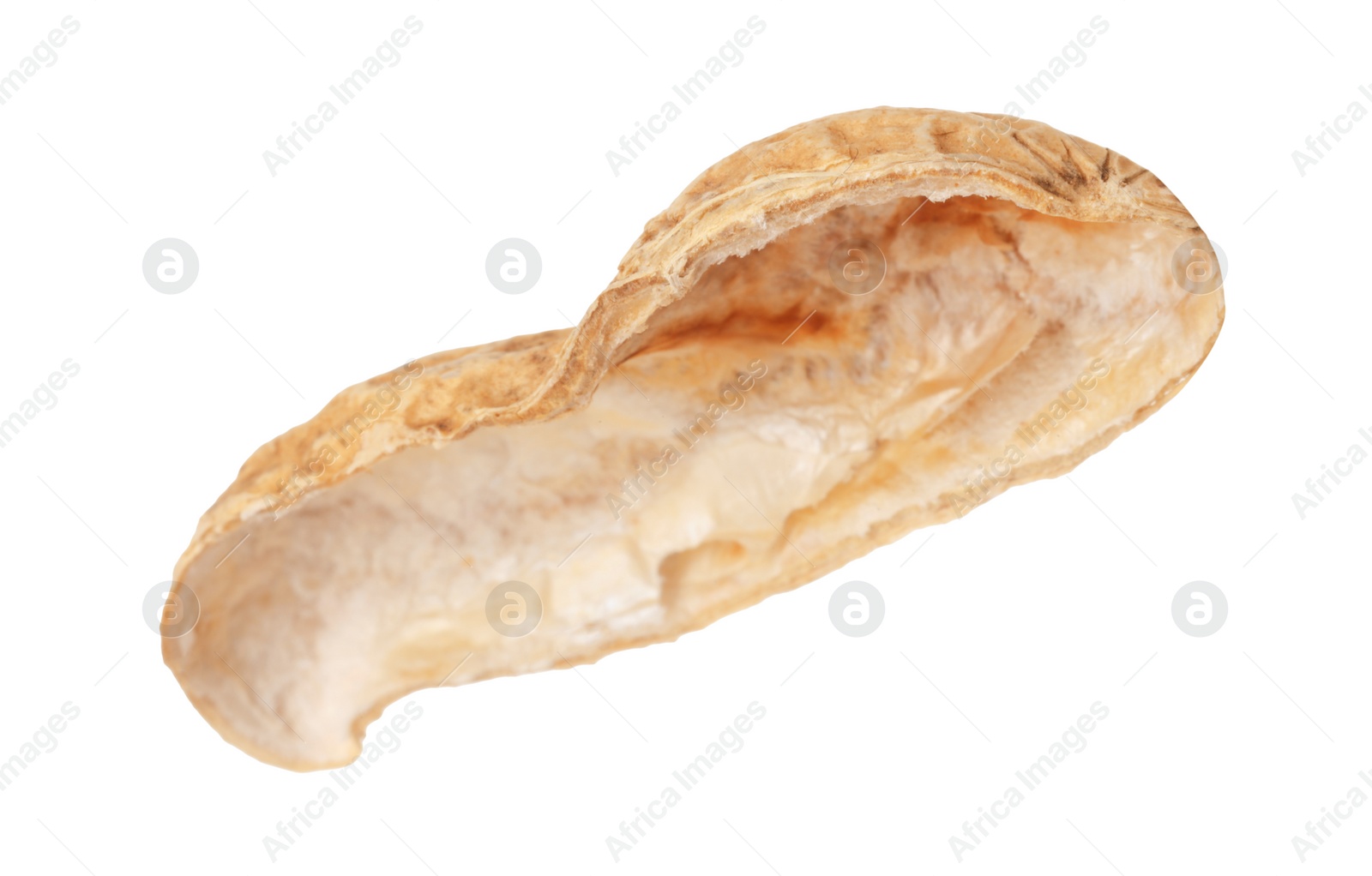 Photo of Piece of peanut pod isolated on white