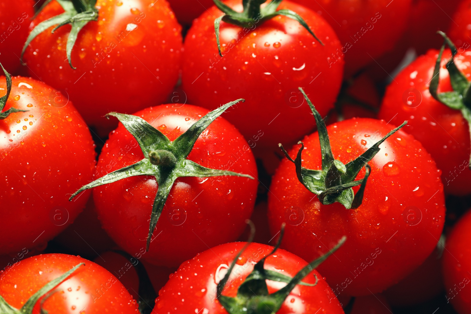 Photo of Delicious ripe cherry tomatoes with water drops as background, above view