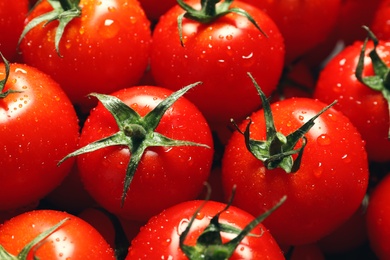 Photo of Delicious ripe cherry tomatoes with water drops as background, above view