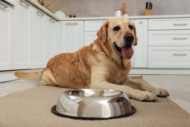 Photo of Cute Labrador Retriever waiting near feeding bowl on floor in kitchen