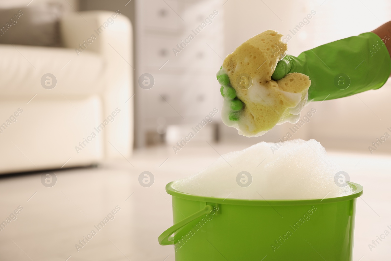 Photo of Woman holding sponge with foam over bucket indoors, closeup. Cleaning supplies