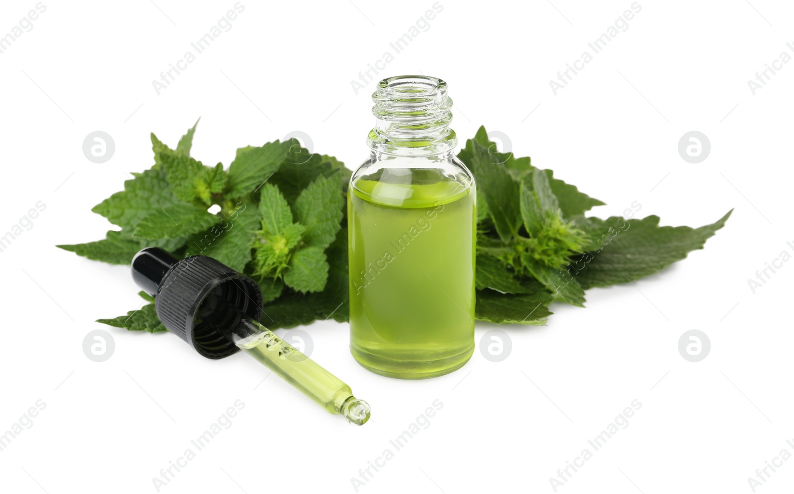 Photo of Glass bottle of nettle oil with dropper and leaves isolated on white