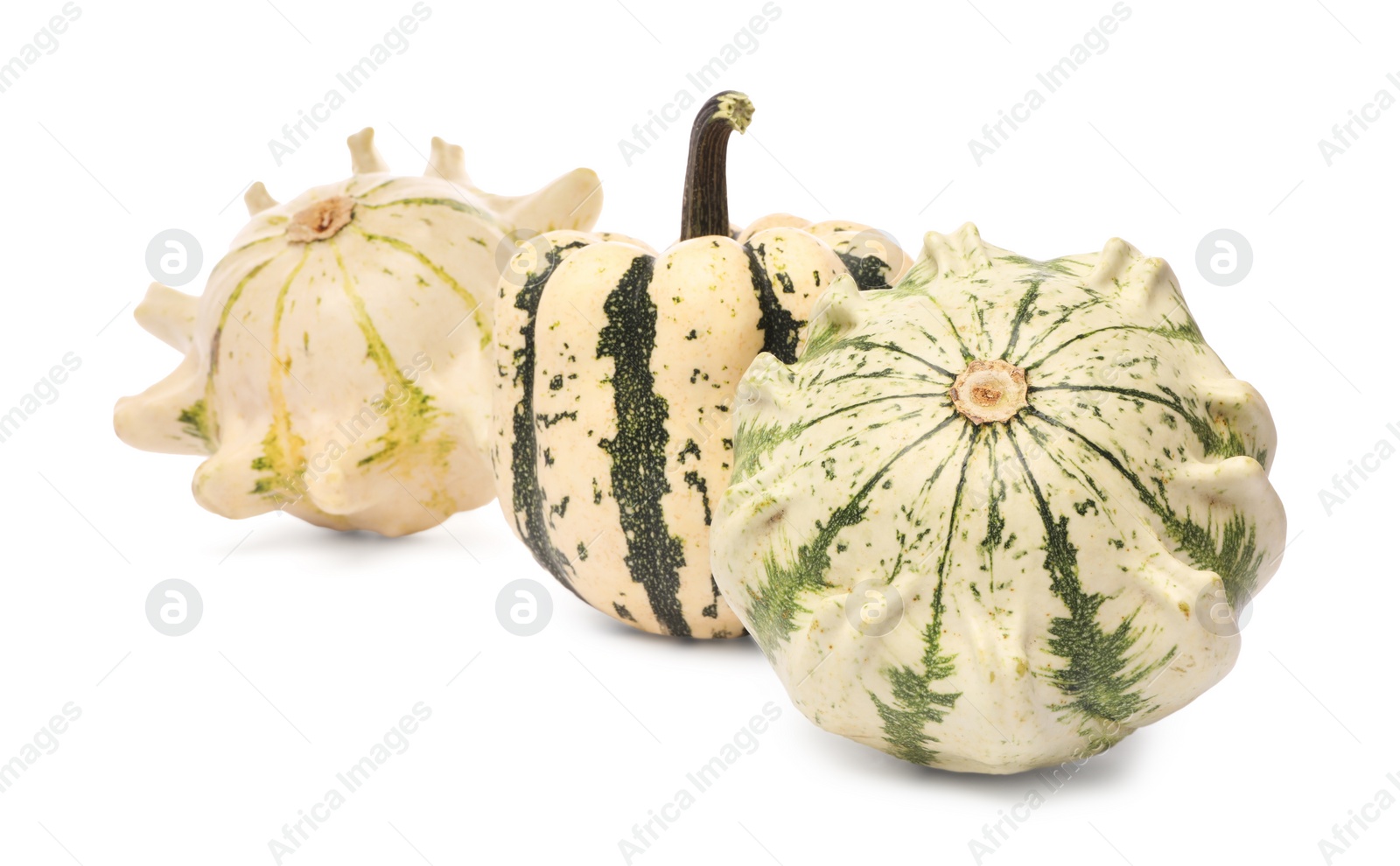 Photo of Different fresh ripe pumpkins isolated on white