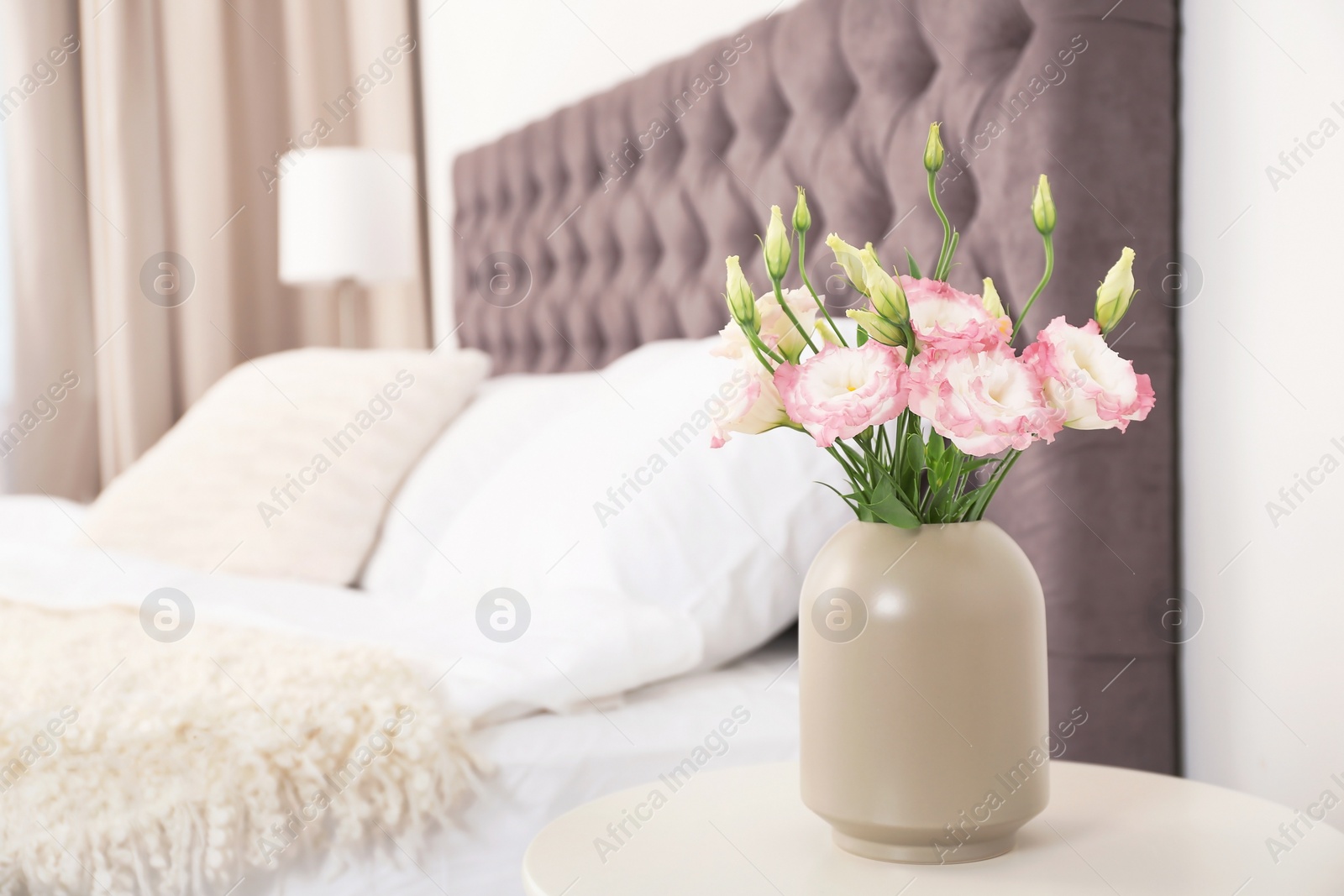 Photo of Beautiful flowers in vase and space for text on blurred background. Element of interior design