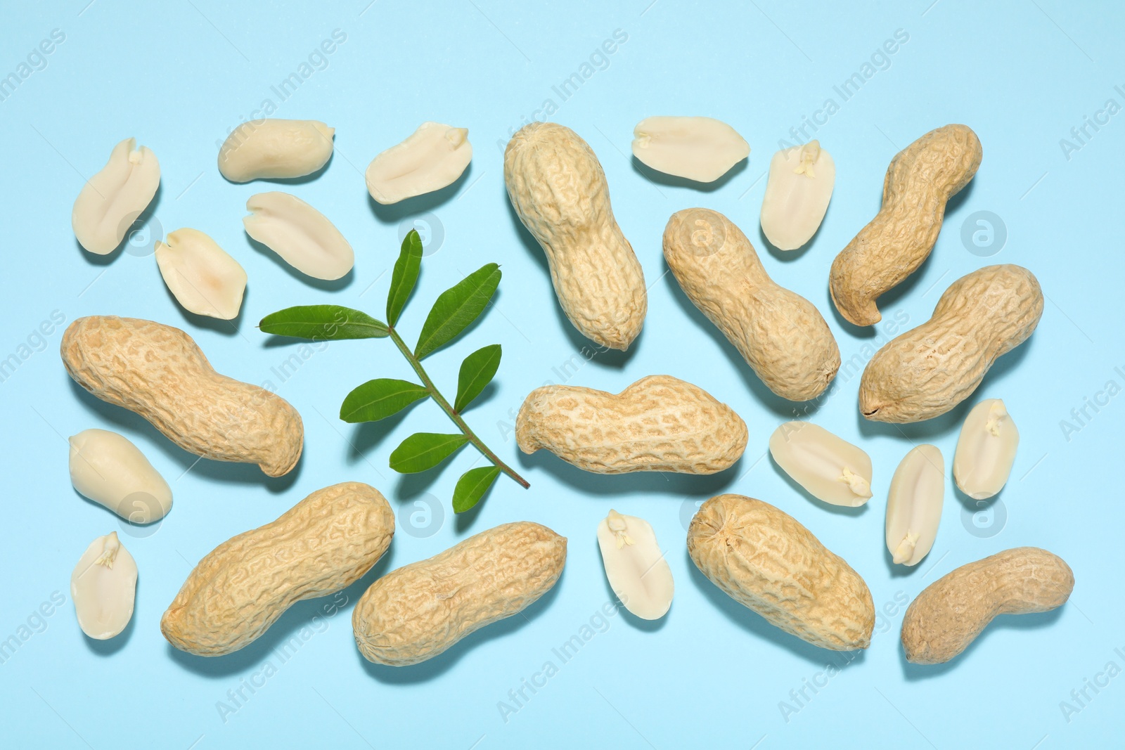 Photo of Fresh peanuts and twig on light blue background, flat lay