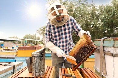 Photo of Beekeeper brushing bees from hive frame at apiary. Harvesting honey