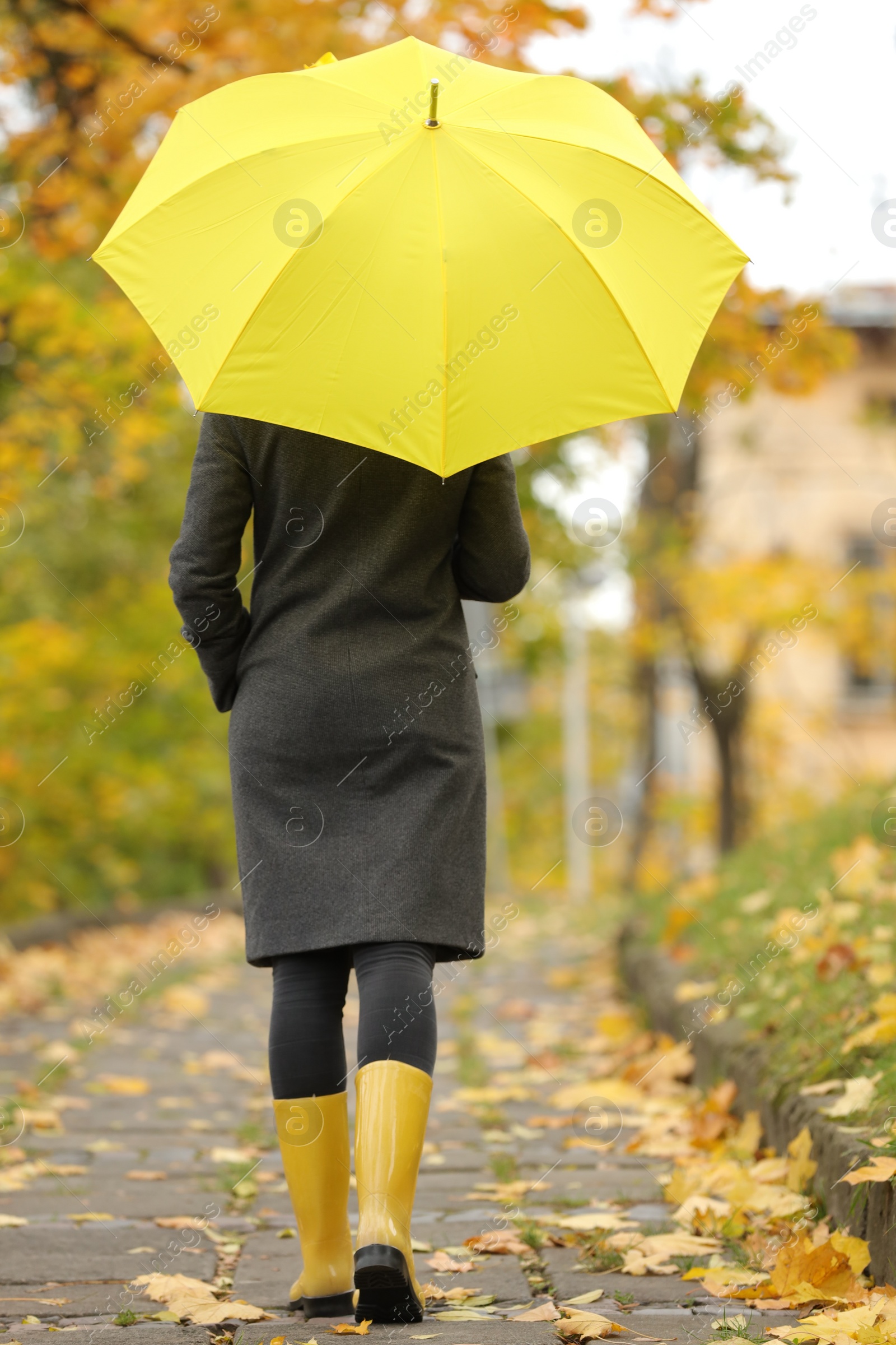 Photo of Woman with yellow umbrella walking in autumn park, back view