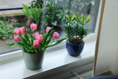 Photo of Beautiful bouquet with pink tulips and potted lily on white window sill indoors