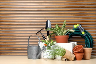 Gardening tools and houseplants on wooden table. Space for text
