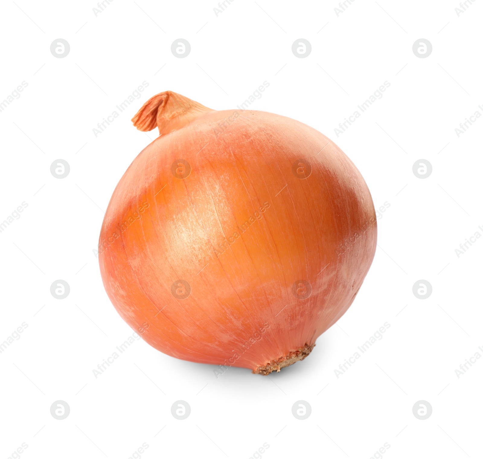 Photo of One fresh unpeeled onion isolated on white