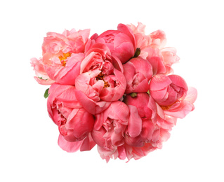 Photo of Beautiful pink peony bouquet isolated on white