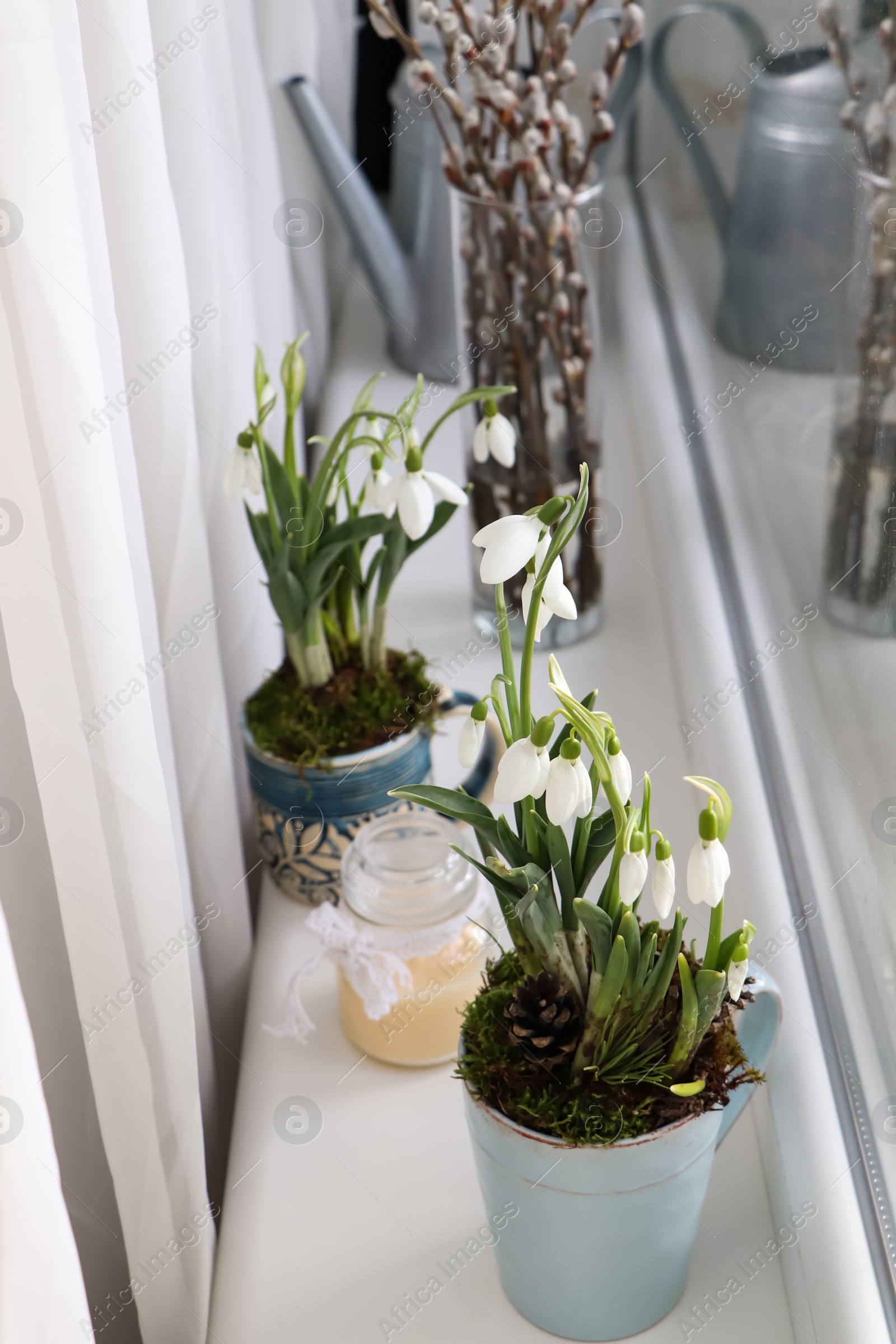 Photo of Blooming snowdrops and candle on window sill indoors. First spring flowers