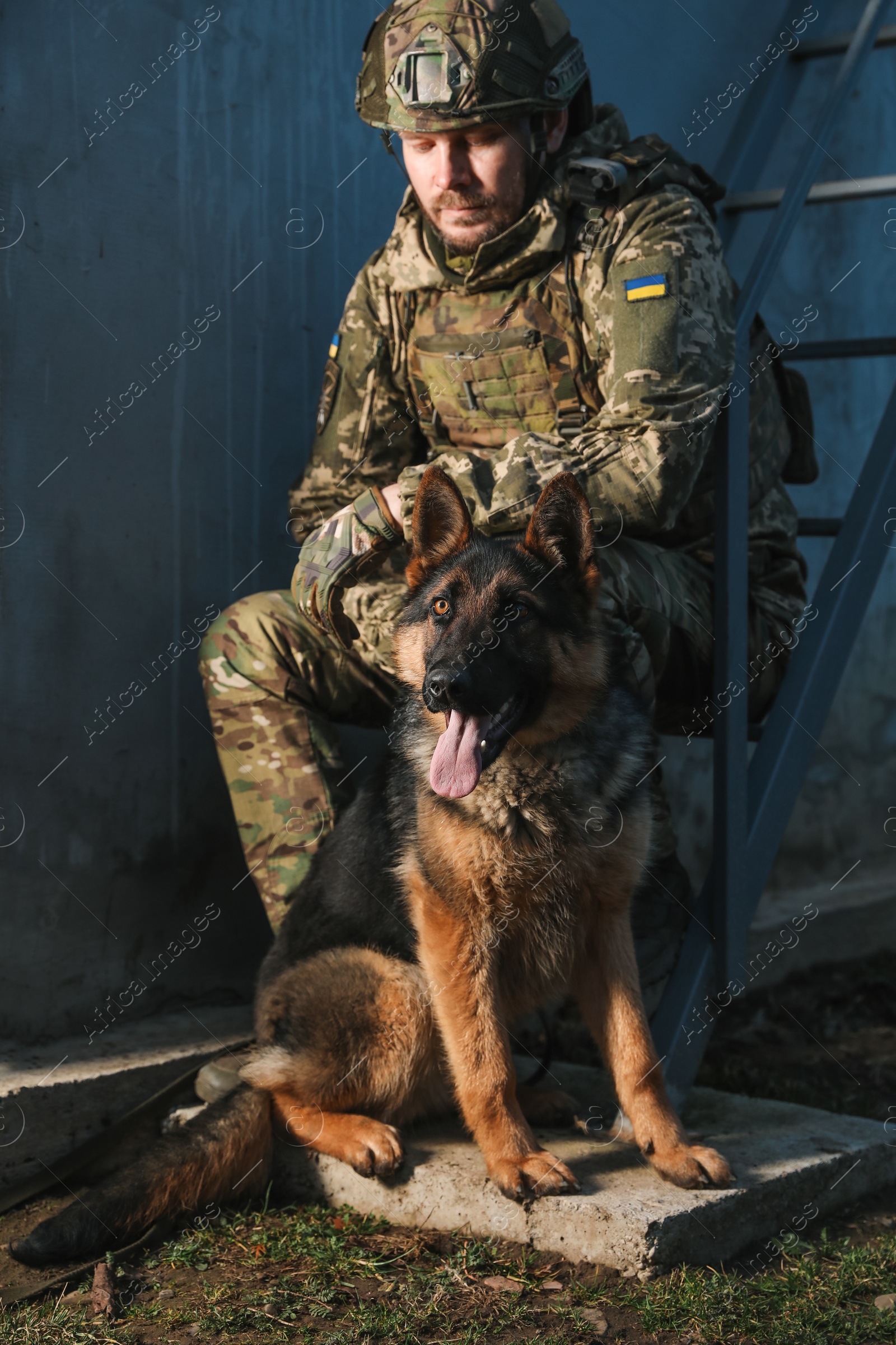 Photo of Ukrainian soldier with German shepherd dog sitting outdoors