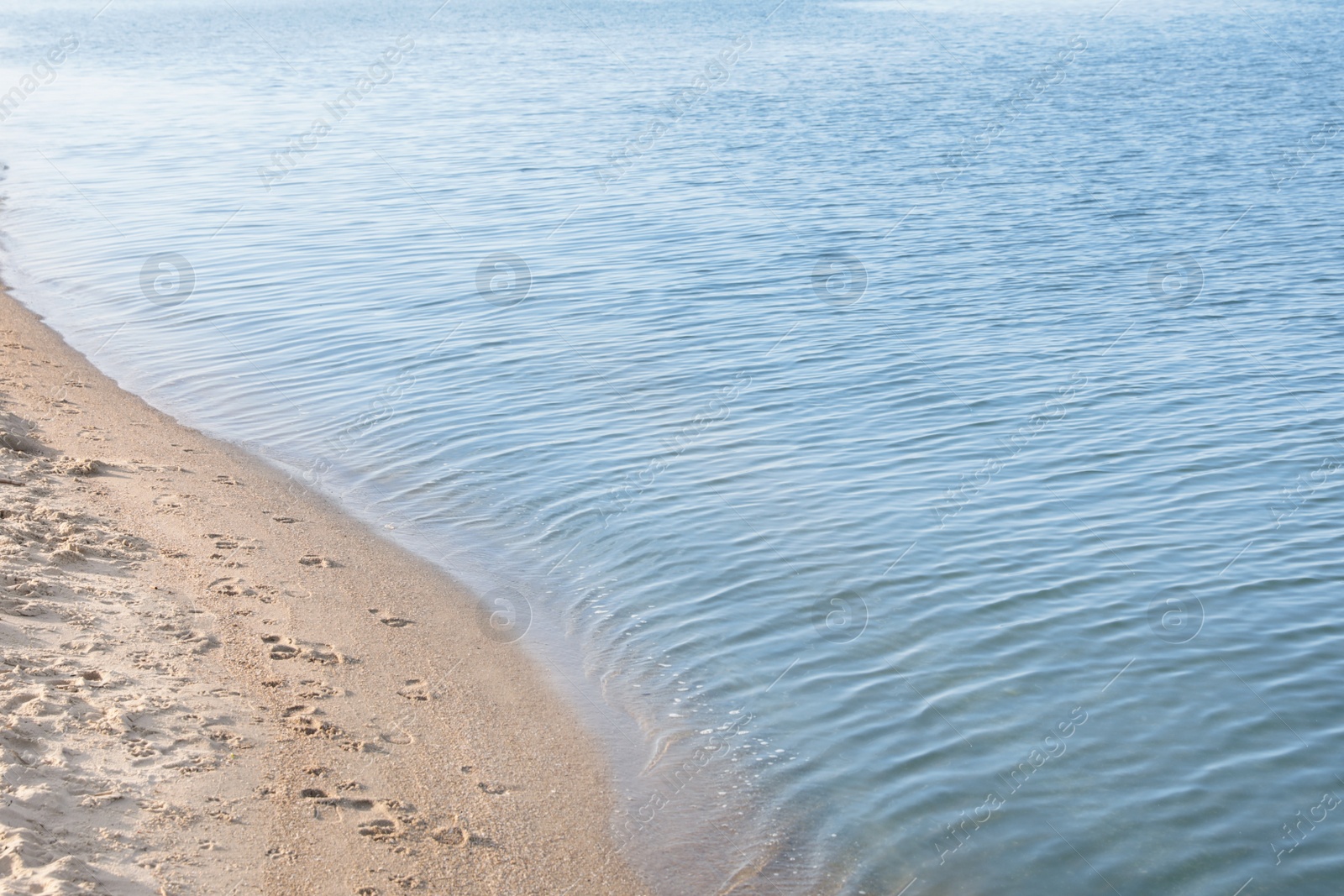 Photo of View of sea water and beach sand on sunny summer day