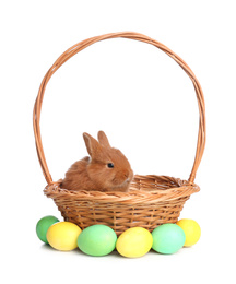 Adorable fluffy bunny in wicker basket and Easter eggs on white background