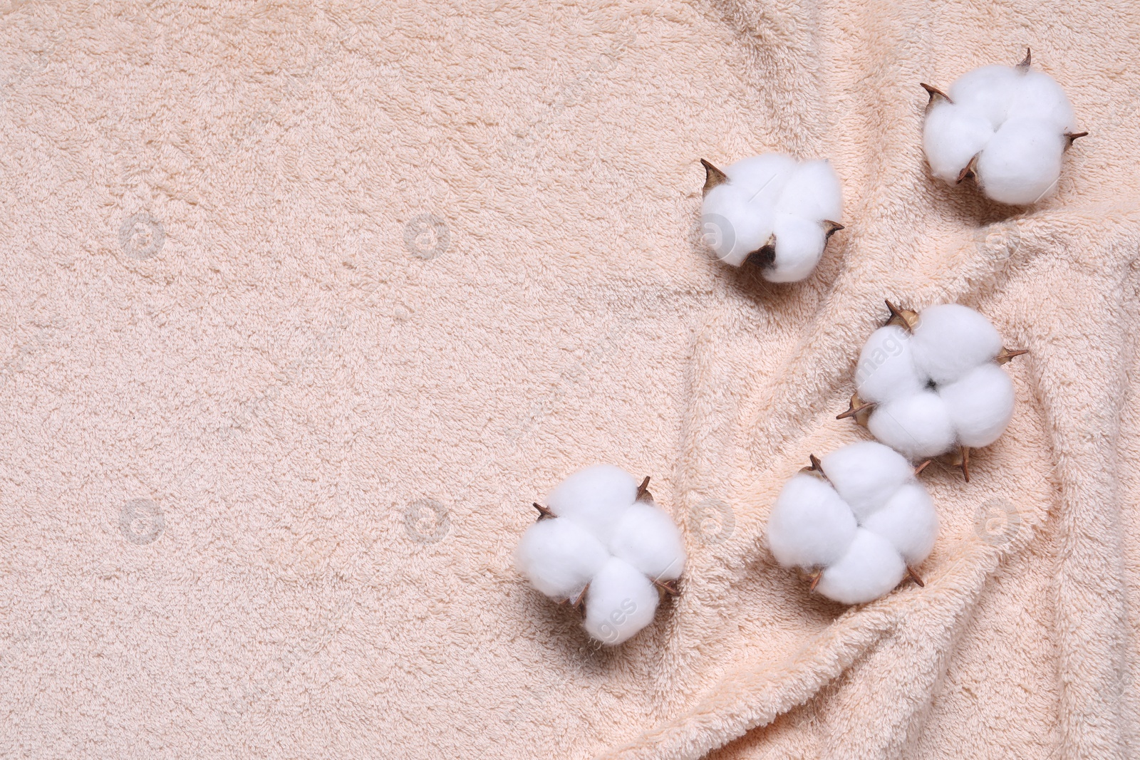 Photo of Fluffy cotton flowers on beige terry towel, top view. Space for text