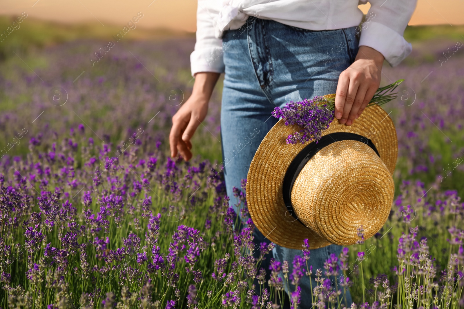 Photo of Young woman with straw hat and lavender bouquet in field on summer day, closeup