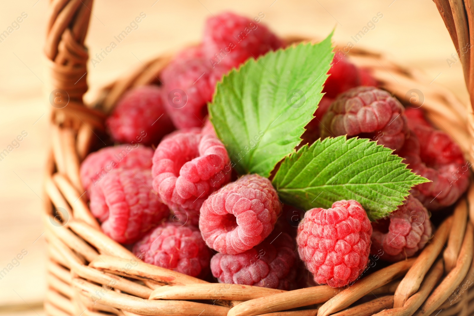 Photo of Basket of delicious fresh ripe raspberries with leaves, closeup view