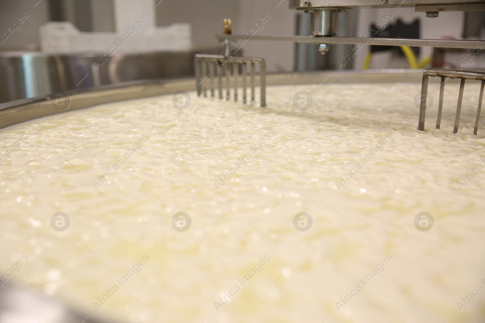 Photo of Curd and whey in tank at cheese factory, closeup