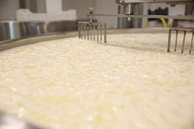 Photo of Curd and whey in tank at cheese factory, closeup