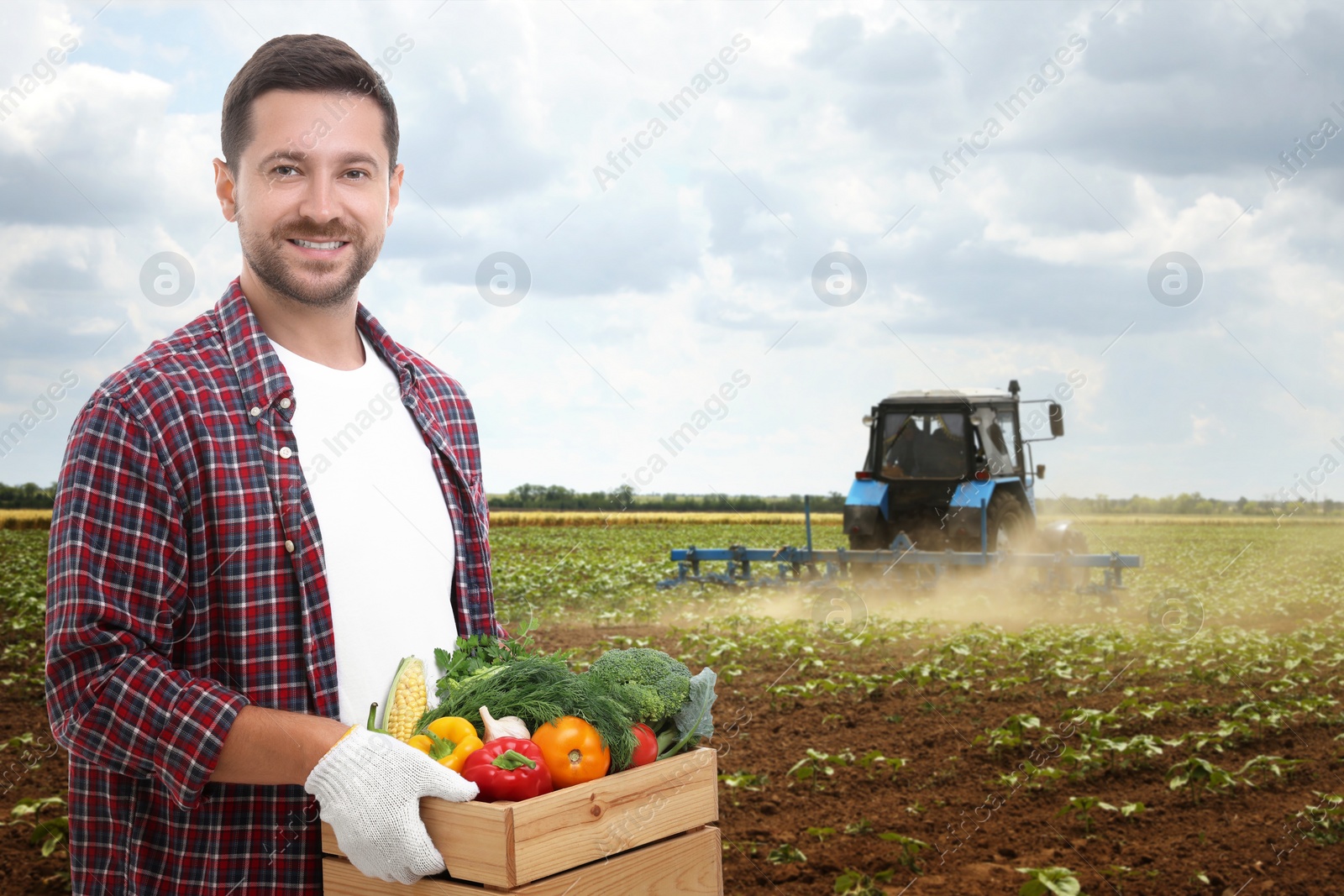 Image of Harvesting season. Farmer holding wooden crate with crop in field