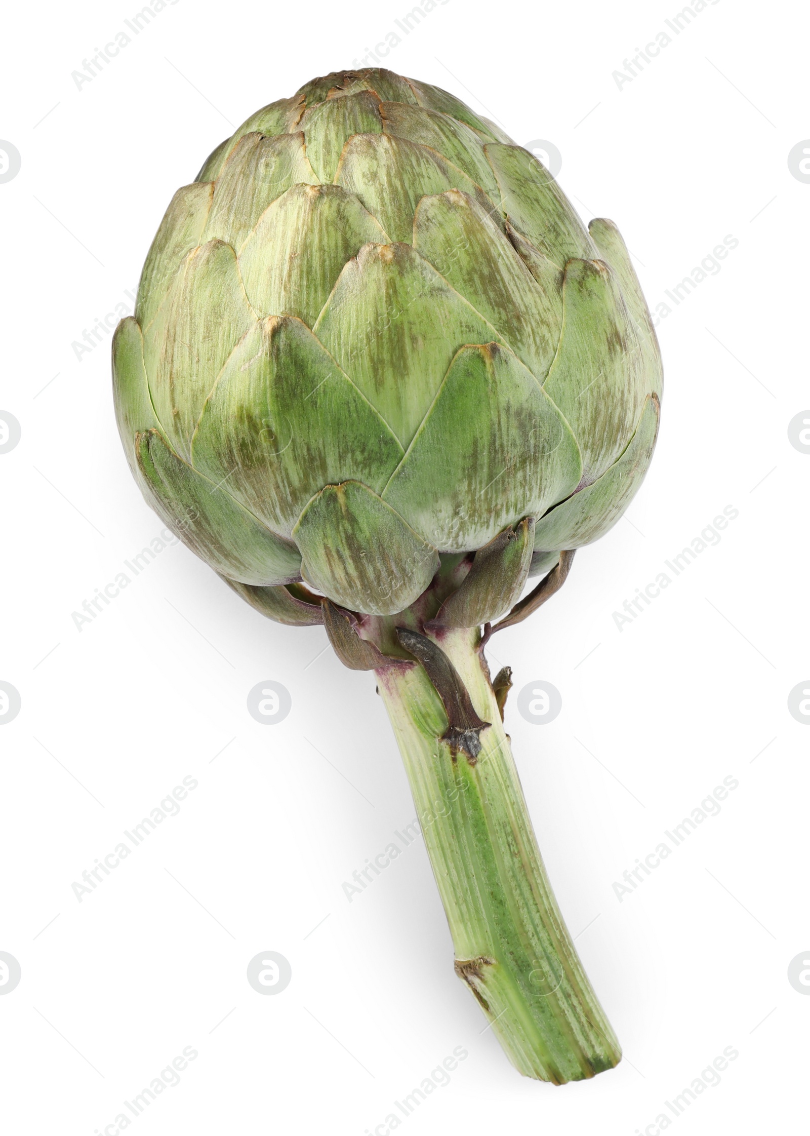 Photo of Whole fresh raw artichoke isolated on white